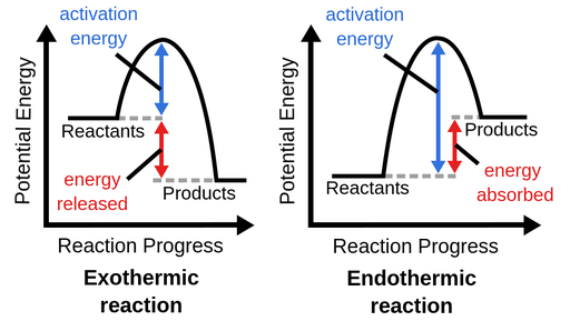 Reaction Rates Image